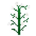 Thumbnail for version as of 01:45, December 17, 2015
