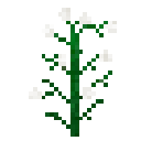 File:Cotton.png