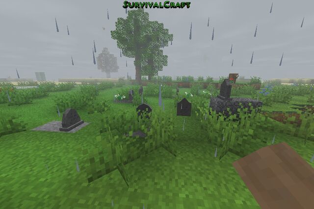 File:Graveyard.jpeg