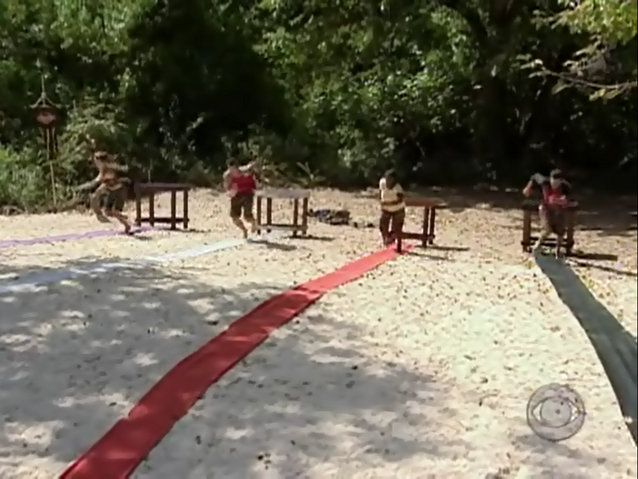 File:Immunity Challenges.png