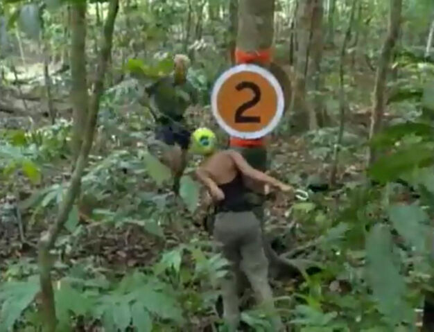 File:Rattana immunity.jpg