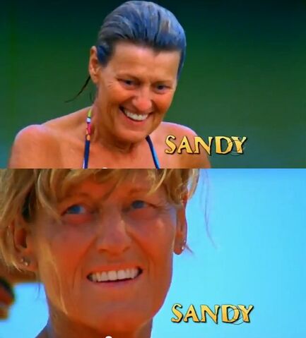 File:Sandy intro.jpg