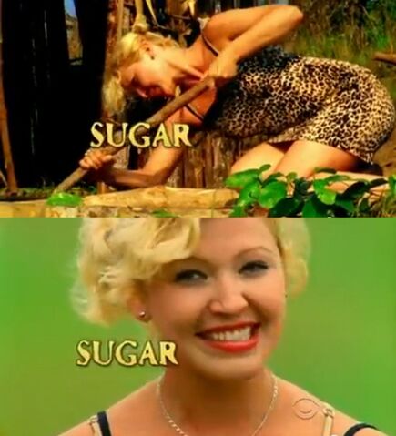 File:Sugar intro.jpg