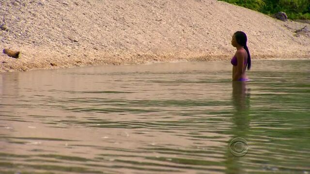 File:Survivor.s27e01.hdtv.x264-2hd 1585.jpg