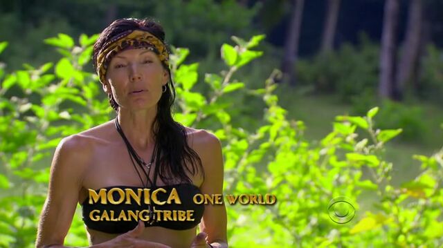 File:Survivor.S27E02.HDTV.x264-LMAO 287.jpg