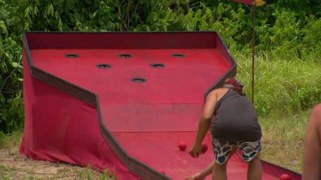 File:Survivor.S27E02.HDTV.x264-LMAO 353.jpg