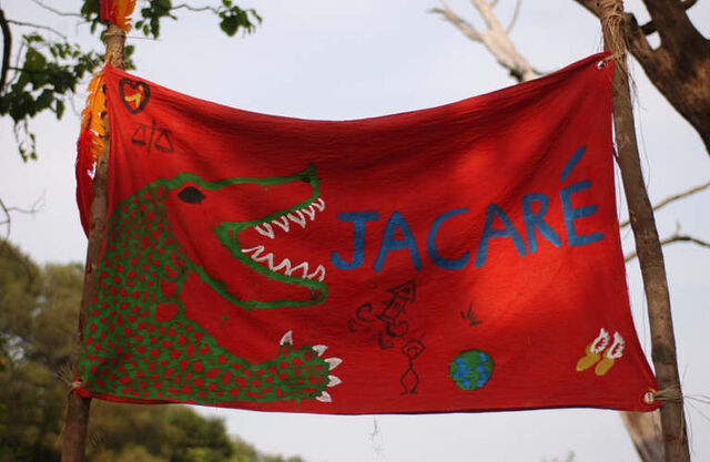 File:Jacare flag.jpg