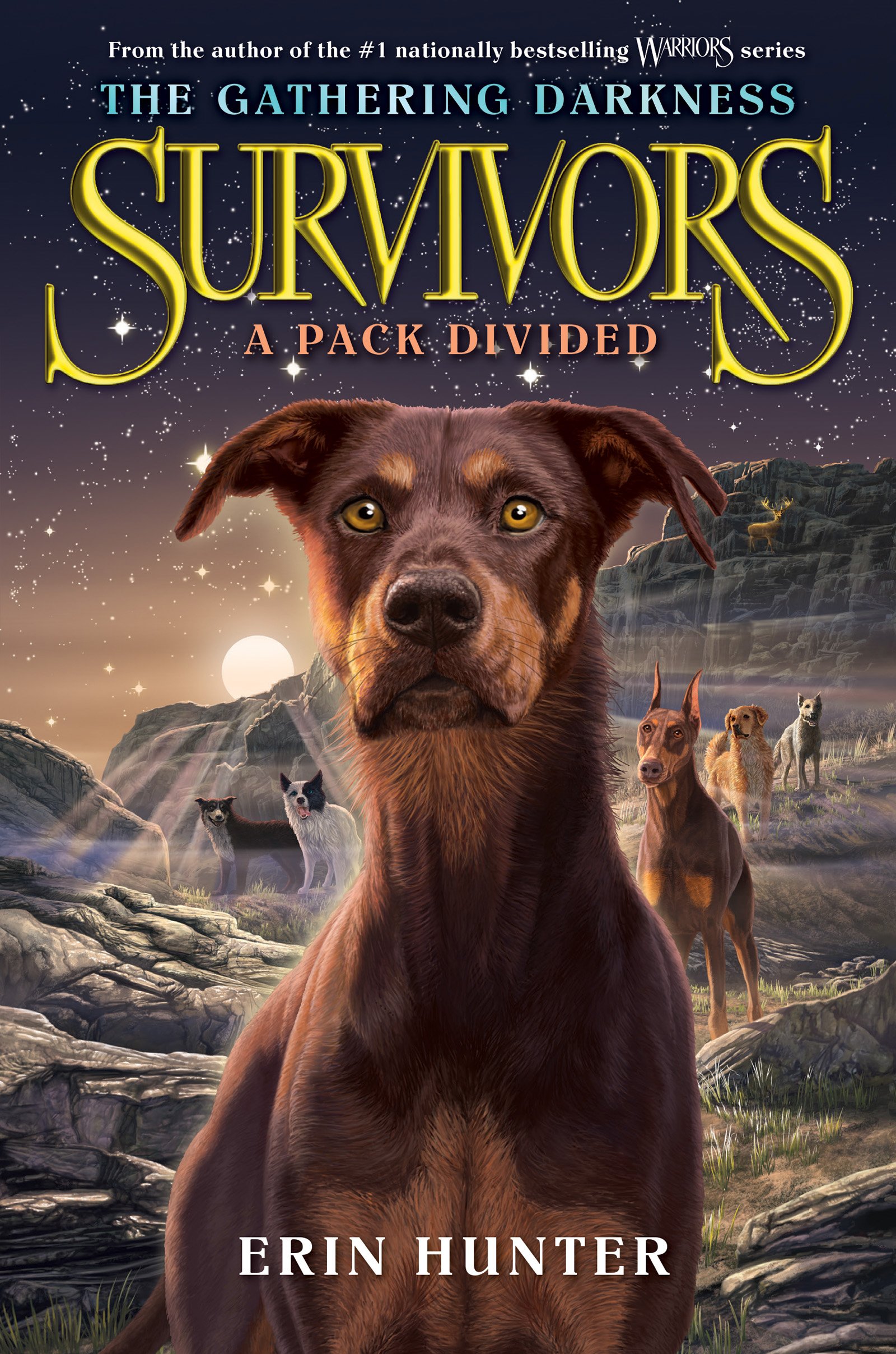 Survivors Box Set by Erin Hunter Survivors Box Set by Erin Hunter