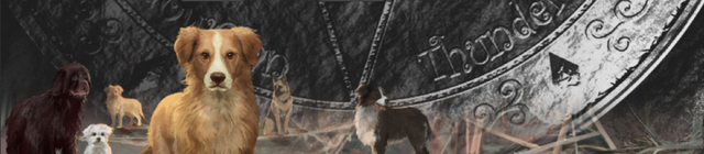 File:Banner.png
