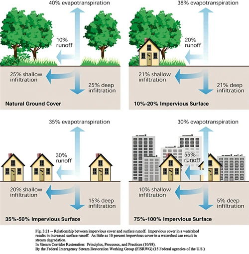 Water pollution wikipedia image