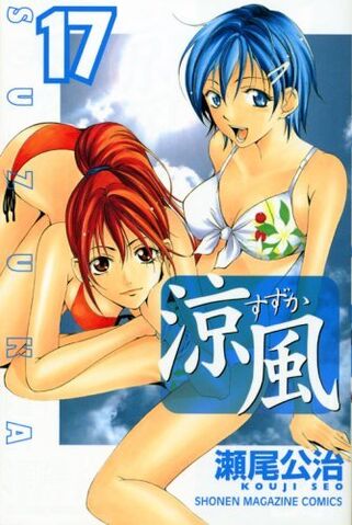 File:Vol 17.jpg