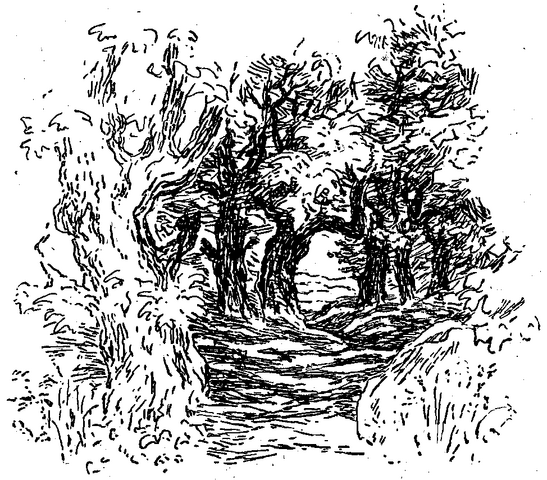 Fil:Skogen 2.png