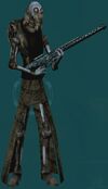 Salvagebanditcheif