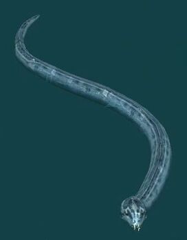 Giant crystal snake