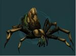 Nightspider