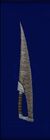 Hk tulrus sword2