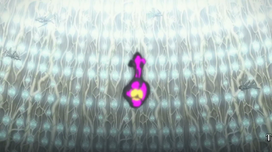 MeKiritoALO.png