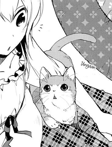 File:Pina Cat.png