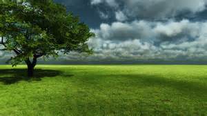 Park Field