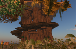 Cathar Tree
