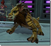 File:Desertnekarrcat.jpg