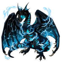 Image builder pet (1)-0