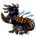 Image builder pet (4)