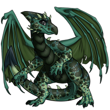 Draeyl