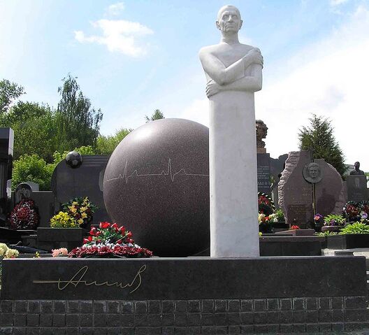 File:Grave Nikolay Amosov.jpg