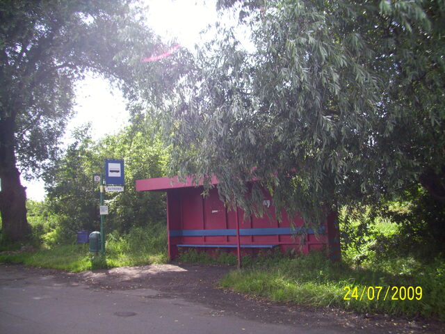 Plik:W lipcu... 011.jpg
