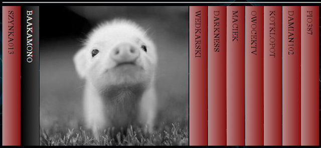 Plik:NotebookSlider.png