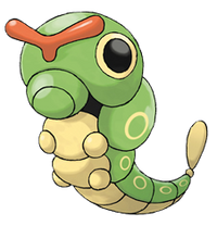 Caterpie