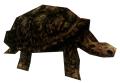 File:120px-Tortoise.jpg