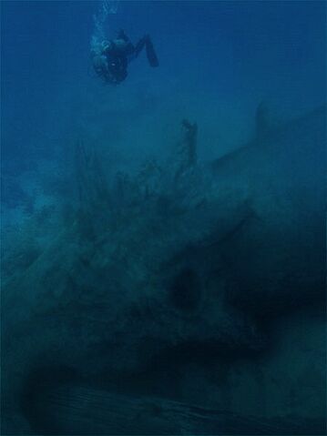 File:GuylerDiscovery.jpg
