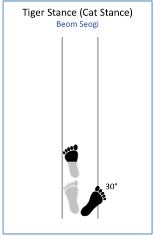 File:Tiger Stance.png