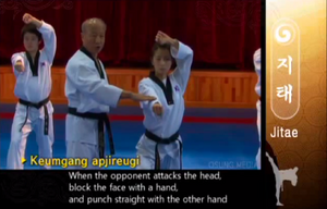 Jitae11b DiamondPunch
