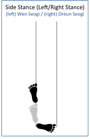 File:Side Stance.png