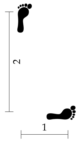 File:Fixed-stance.png