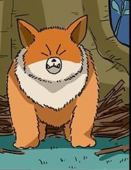 Fox Bear 2