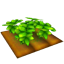 檔案:豌豆田.png