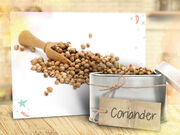 Talia-in-the-kitchen-flipbook-spice-rack-12