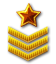 Sergeant-Major Rank