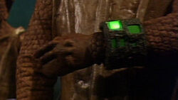 Wrist device