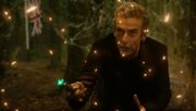 Twelve Talks to Trees