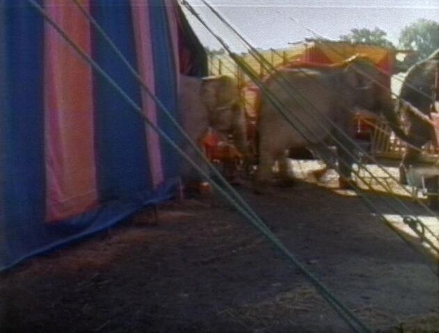 File:CircusElephants.jpg