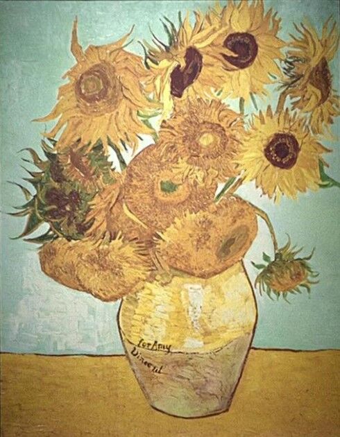 File:Sunflower Amy2.jpg