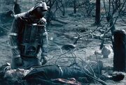 The Doctor Fallen