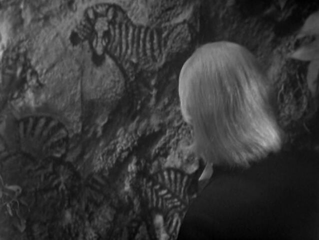 File:Zebra engraving.jpg