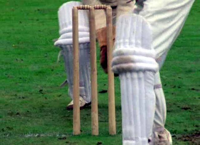 File:Cricket stumps.jpg