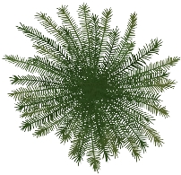 Image - Palm Tree.png | Tasty Planet Wiki | FANDOM powered by Wikia